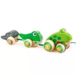 Hape Игрушка-каталка на веревочке Семья лягушек на прогулке