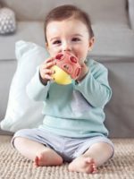 Hape Погремушка-неваляшка Божья коровка — изображение 2