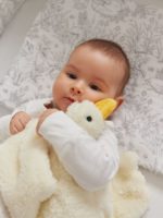 Happy Baby Игрушка Гусь — изображение 5