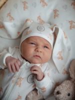 Наследник Выжанова Чепчик зайка