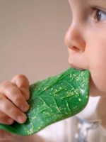 Oli&Carol Прорезыватель Chlorophyll Leaf — изображение 2
