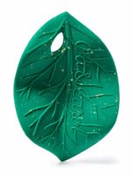 Oli&Carol Прорезыватель Chlorophyll Leaf