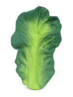 Oli&Carol Прорезыватель Kendall the Kale — изображение 3