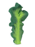 Oli&Carol Прорезыватель Kendall the Kale — изображение 4