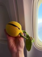 Oli&Carol Контейнер для пустышки Lou the Lemon — изображение 9