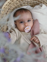 BIBS Набор из 4-х пустышек Colour Latex Ivory/Blush/Woodchuck/Blossom 0-6 месяцев — изображение 3