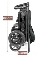 Peg-Perego Коляска 2 в 1 Veloce TC Flex Metal — изображение 20