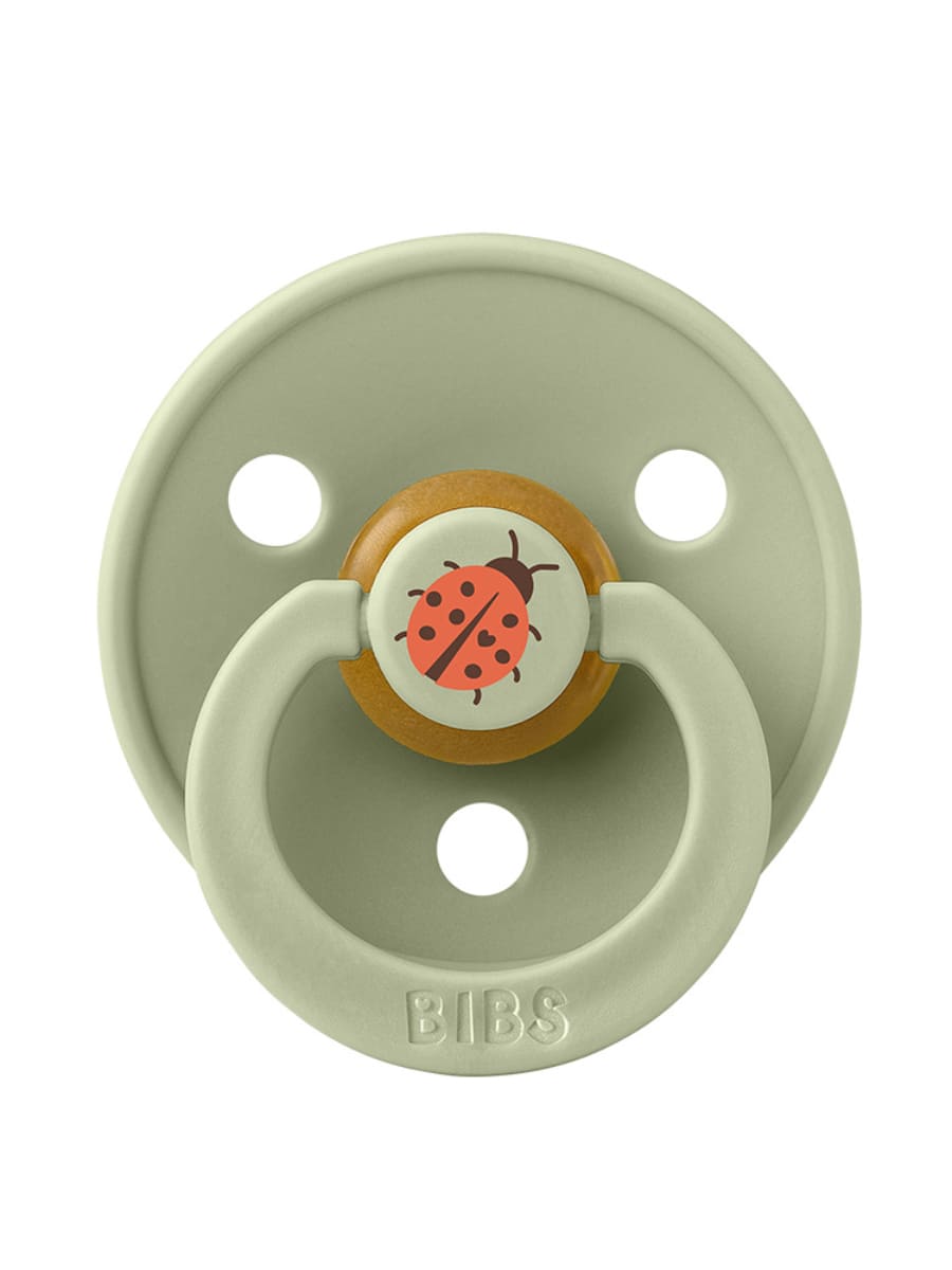 STUDIO Colour Ladybug - Sage BIBS Пустышка Studio Colour Ladybug Sage 18-36 месяцев — изображение 1