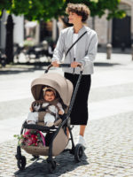Britax Roemer Прогулочная коляска Rio Style Teak — изображение 2
