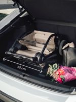 Britax Roemer Прогулочная коляска Rio Style Teak — изображение 16