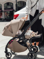 Britax Roemer Прогулочная коляска Rio Style Teak — изображение 4