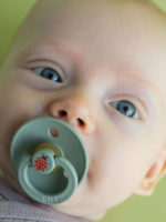 BIBS Пустышка Studio Colour Ladybug Sage 6-18 месяцев — изображение 2