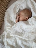Наследник Выжанова Набор из 2-х муслиновых пеленок лесные жители 120х120см — изображение 3