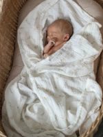 Наследник Выжанова Набор из 2-х муслиновых пеленок лесные жители 120х120см — изображение 4