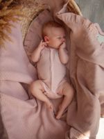 Наследник Выжанова Боди с коротким рукавом пудра — изображение 5