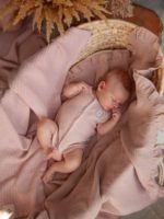 Наследник Выжанова Боди с коротким рукавом пудра — изображение 4