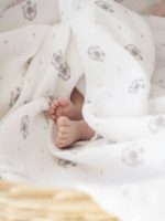 Наследник Выжанова Плед-пеленка из муслина бренд 120х120см — изображение 2