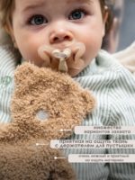 Nattou Мягкая игрушка с держателем для пустышки Teddy Bear Brown — изображение 3