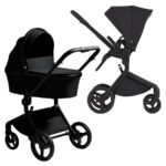 Anex Коляска 2 в 1 Flo Lungo