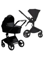 Anex Коляска 2 в 1 Flo Lungo